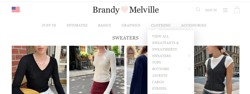 Brandy Melville items